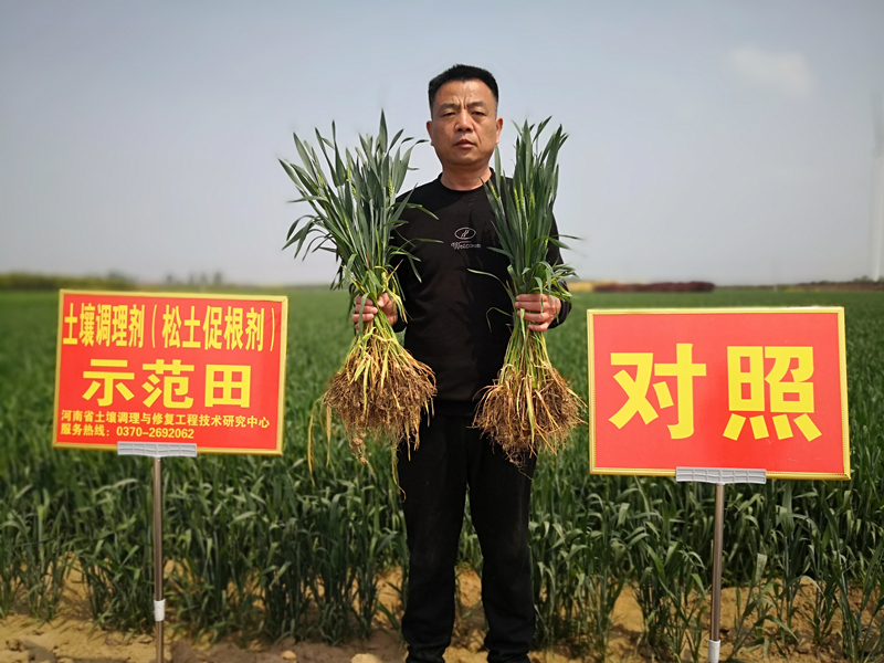 <b>松土促根土壤改良技术，咱农民种地的好帮手！</b>