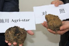 Agri-star松土促根剂是如何修复土壤的