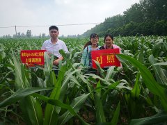 <b>河南省人民政府办公厅 关于加强高标准农田建设打造全国重要粮食生产核心区</b>